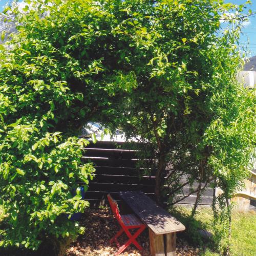 Unser Garten