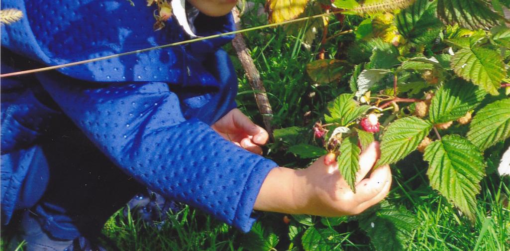 Leckeres in der Natur Die Besonderheiten der Natur entdecken